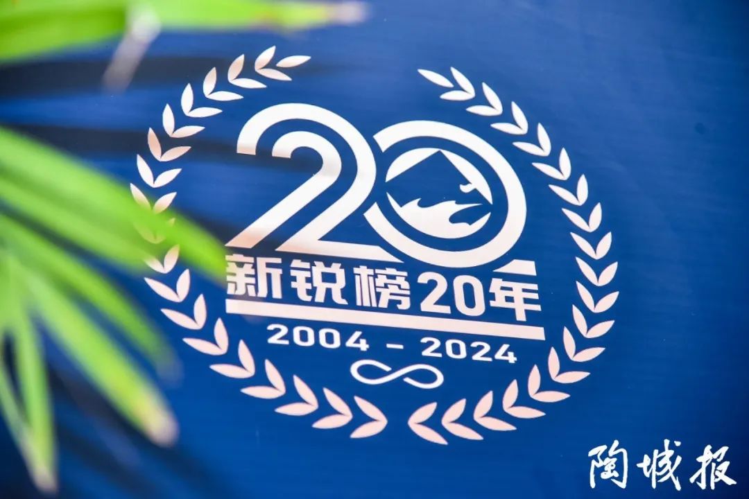 卓越力量，載譽領航！大將軍瓷磚實力斬獲“新銳榜20年卓越品牌”榮譽(圖3)